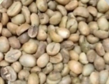Robusta komersial