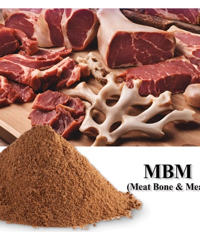 High-protein meat and bone meal (MBM) from buffalo byproducts—processed for export-grade use.