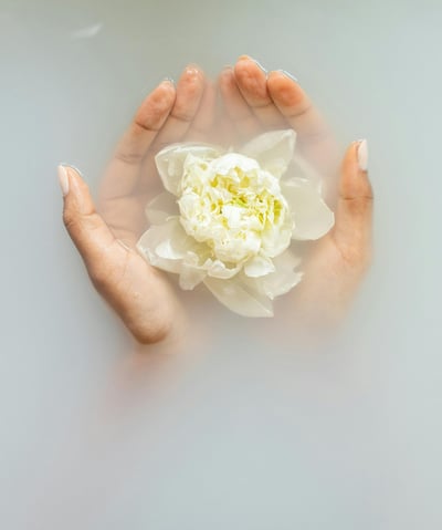 2 handen die een zacht gele bloem vast houden in een bad