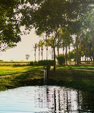 Fazenda Lumiar - paisagem