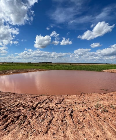 New farm pond