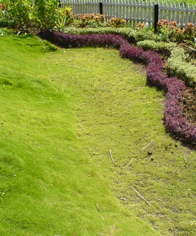 Eco-friendly vertical garden installation by Urbanspike Agro Fresh Pvt Ltd