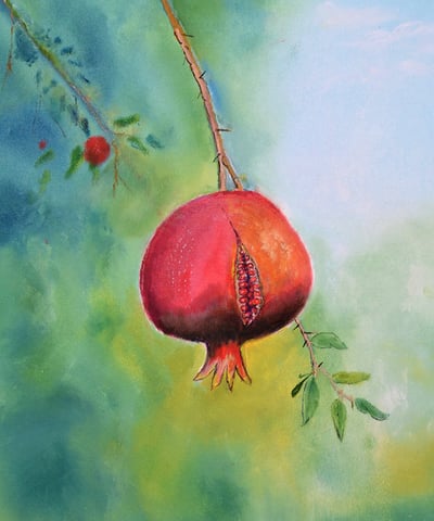 Pomegranate by New Mexico Artist John Dick-Peddie