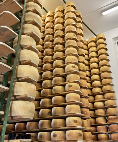 Best flavoured Roomy Cheese manufacturer  أفضل مصنعين للحبن الرومي المصري