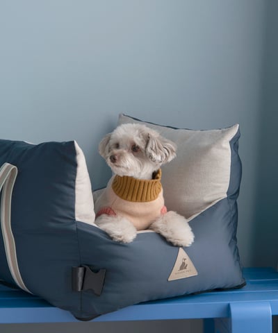 stylish pet beds, small dog beds, light dog beds, 