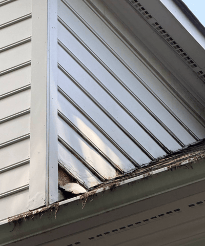 Siding repair in Charlotte