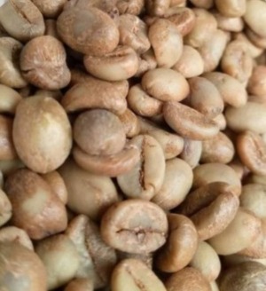 Robusta Grade 1