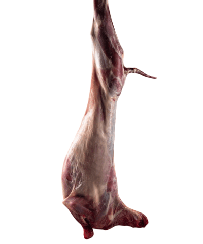Halal-certified mutton carcass—cleanly processed and packed for export with strict hygiene standards
