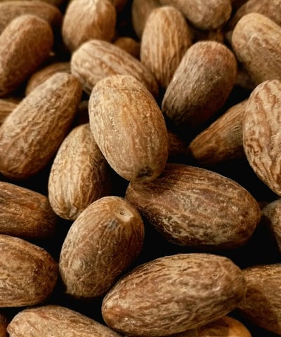 Nutmeg