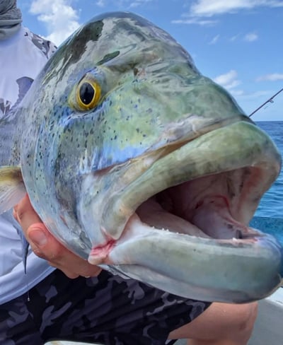 Latham Island Fishing Charters Zanzibar - Happy fisherman showcasing a Bluefin Trevally