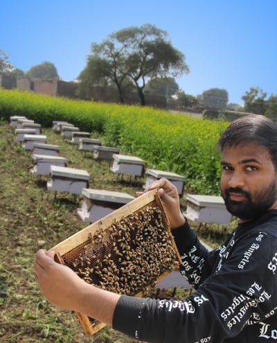 Best Organic Honey In India