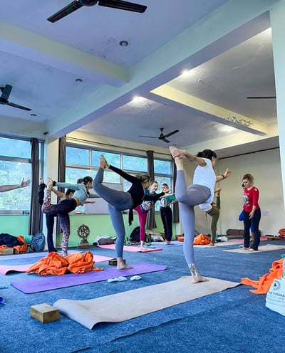 A group of yoga practitioners performing asanas (postures).