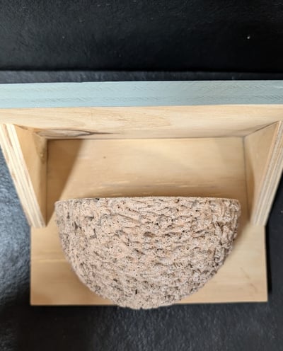 Single Swallow cup with back board and roof