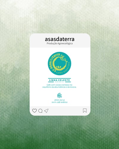 LINHA CELESTE