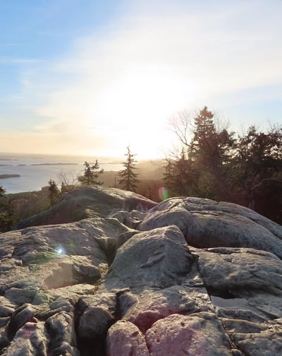 Koli