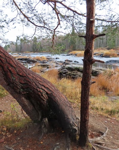 Koitelinkoski Finnland