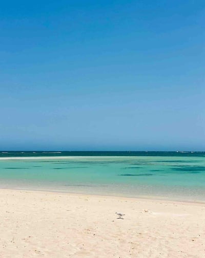 Beautiful white sand beach with turquoise water at Turquoise Bay, near Exmouth, Western Australia.