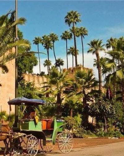a horse drawn carriage in front of a building in taroudant