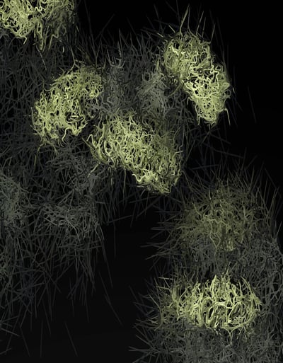 digital art, visual art, digital paintings, Joanna Wlaszyn