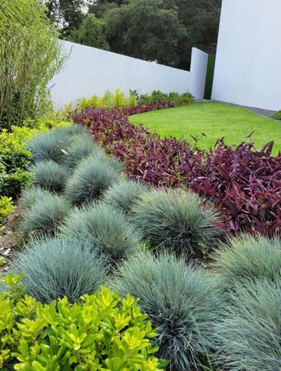a garden with a white fence and a white fence