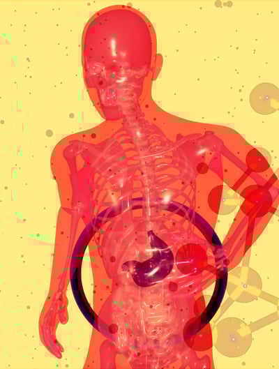 Metabolism