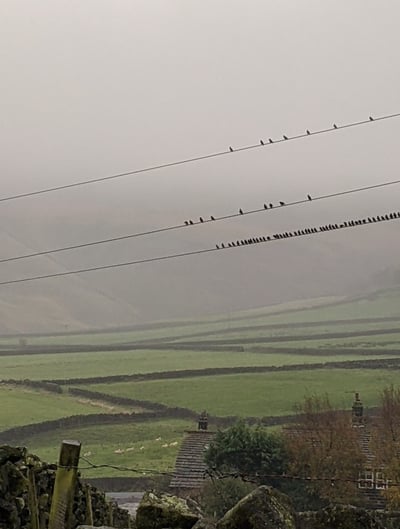 Starling spacings.  Lines in Lumbutts.  Boundaries, conduits.