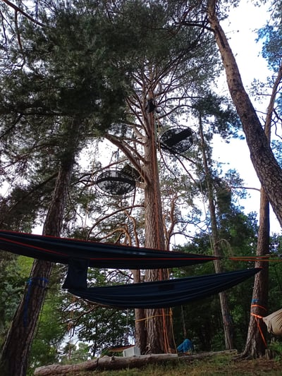 Gros plan de hamacs au sol avec Pin noir d'Autriche en arrière plan, avec des installations dedans.