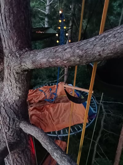 Lit suspendu dans un arbre avec guirlande lumineuse.