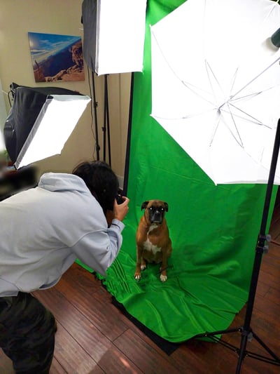 a woman taking a picture of a dog in a studio