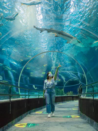 aquario marinho do rio
