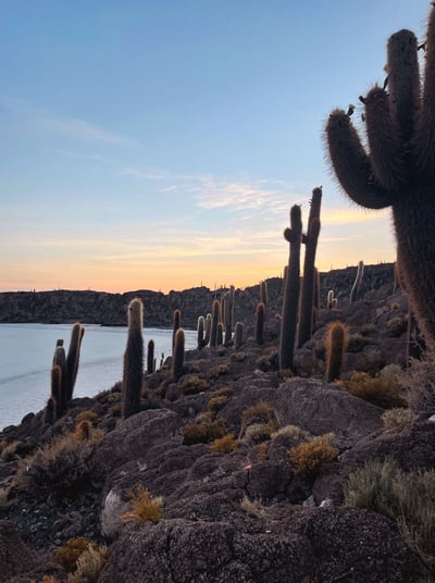Amazing sunrise in Incahuasi Island, with giant cacti in Bolivia.