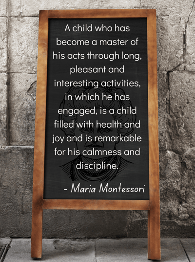 Maria Montessori Quote