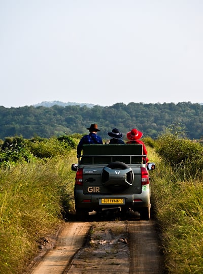 a road journey on Kamleshwar Dam in Gir National park