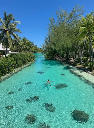 st-regis-bora-bora-ladoonarium-snorkel