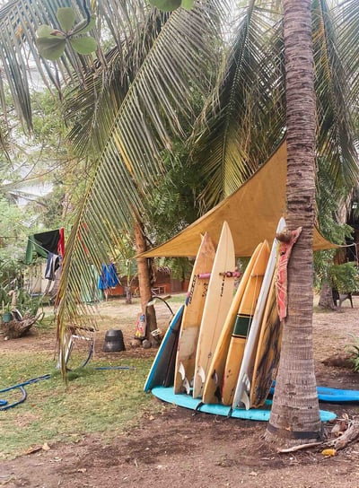 Surfboards lined up on the beach of El Paredón, Guatemala.