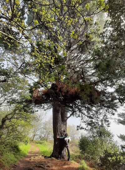 Anne-Sophie Jacqmin puisant l'énergie de l'arbre