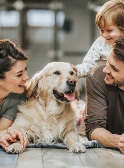 people and the family pet sharing a happy moment