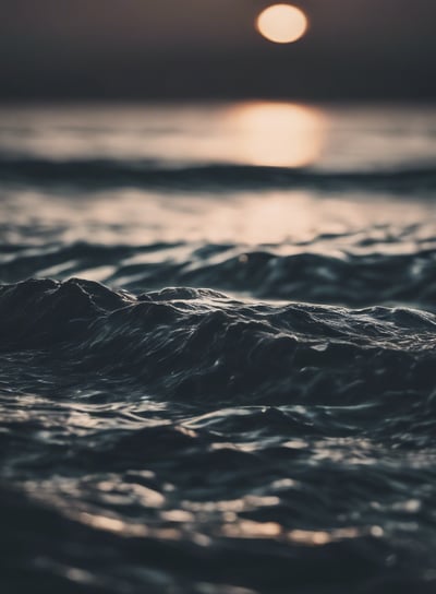 man sitting while holding a book watching on body of water
