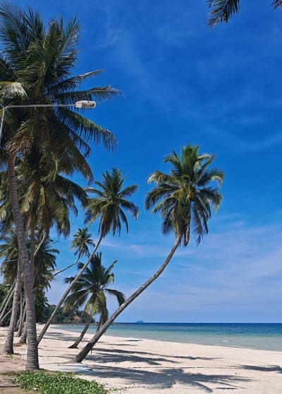 Thung Wua Laen, Chumphon