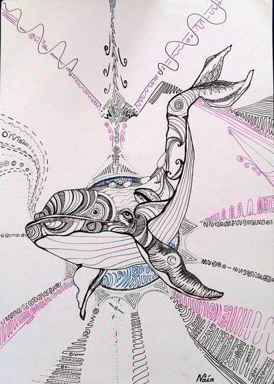 dessin de baleine aux motifs psychédéliques au feutre fin