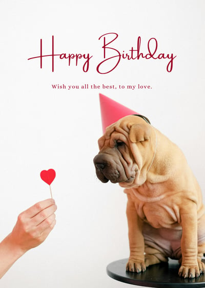 a dog with a happy birthday message