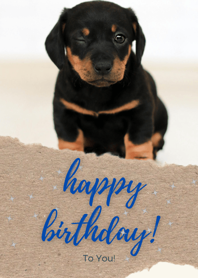 a puppy with a happy birthday message