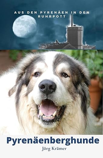 a dog is smiling and looking at the camera