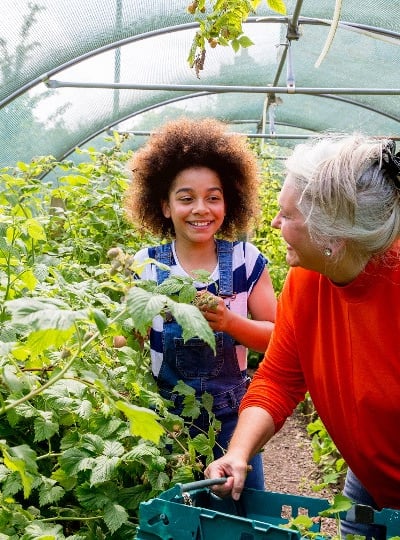 A grandmother and a young girl in the greenhouse