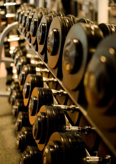 a row of dumb dumbblebells in a gym