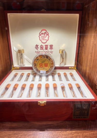 Premium Tibetan Cordyceps elegantly displayed in vials with a branded centerpiece, symbolizing traditional wellness excellenc