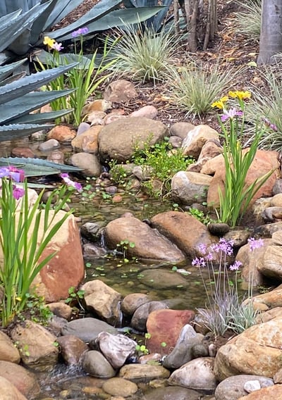 bubbling stony brook with eco-friendly foliage