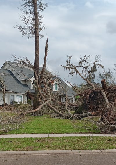a man standing in front of a house with a tree that has fallen down