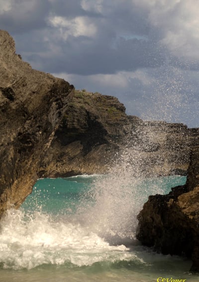 Bermuda beach