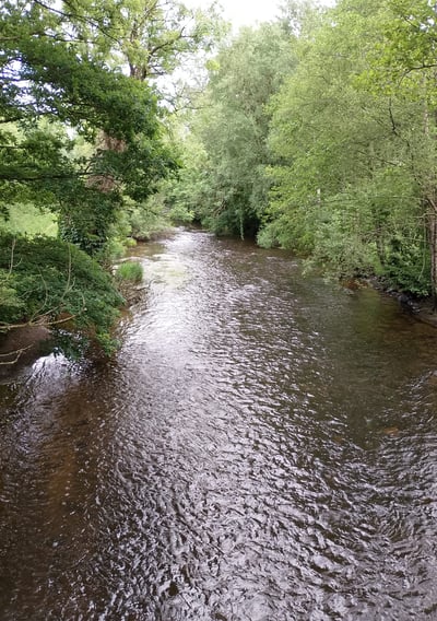 River Le Guic flowing through lush green woodland near Belle-Isle-en-Terre in Brittany, France—popul